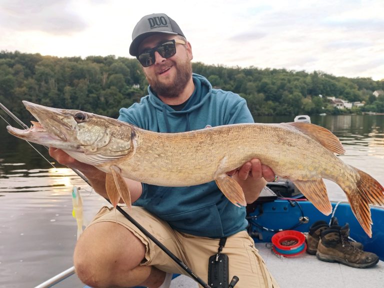 brochet du lac d'Eguzon capturé lors d'une journée de guidage au Mégabass Hasu raver