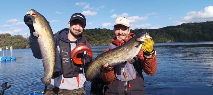 Une technique de pêche du silure sur Eguzon qui malgré la taille des poissons provoque de véritable montée d'adrénaline 