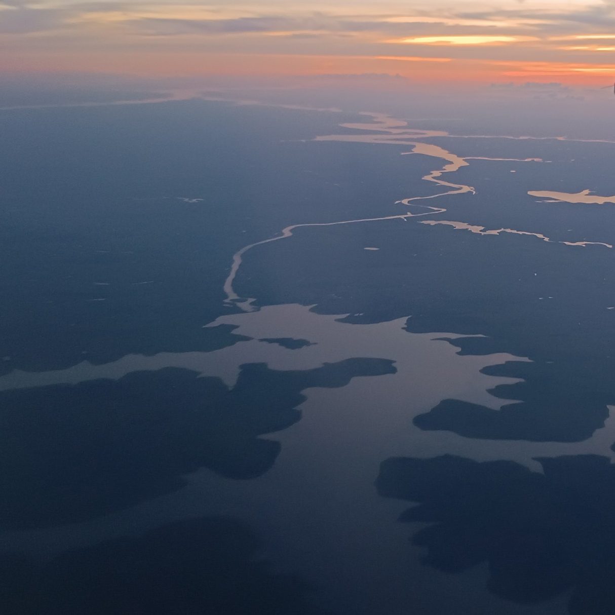 la foret amazonienne vu du ciel, image capturé lors d'un séjour de pêche près de Manaus
