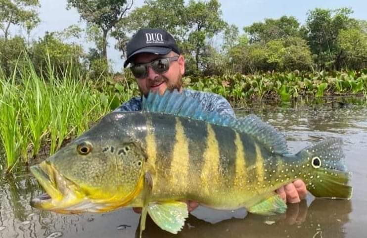 peacock bass bass capturé lors d'un séjour pêche en Amérique du sud