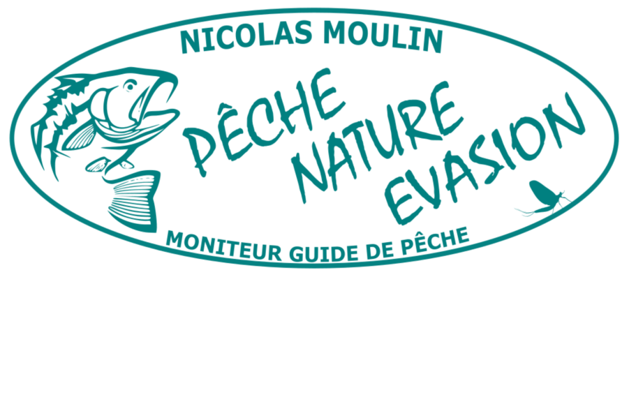 logo nicolas moulin peche nature evasion guide de peche eguzon