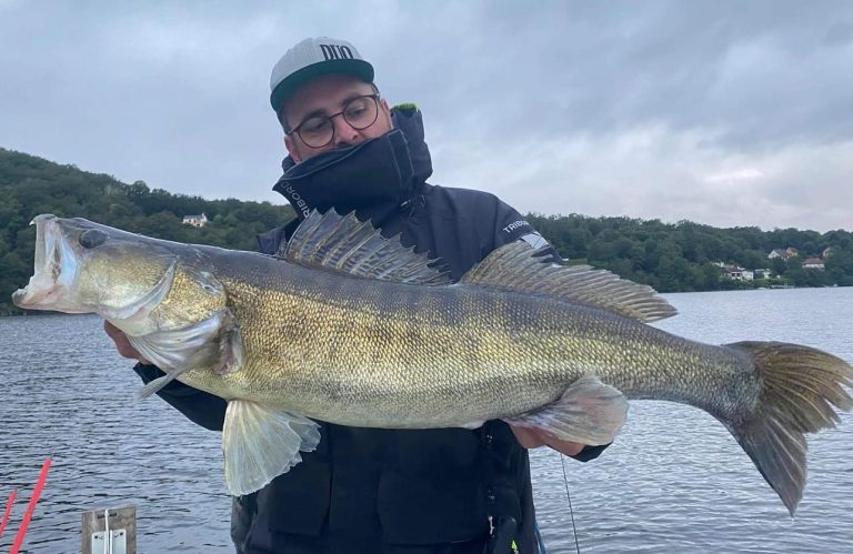 nicolas moulin guide de pêche avec un beau sandre du lac d'Éguzon